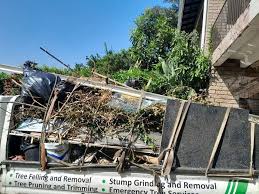 Trusted Immokalee, FL Junk Removal Services Experts